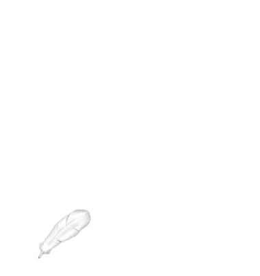 天馬羽-03